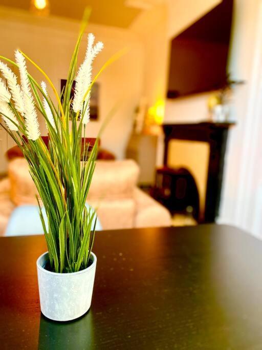 Anchored Homely Apartment In Historic Centre Пейзли Екстериор снимка